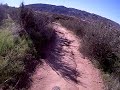 dhdavid humming bird trail