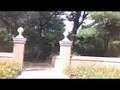 Kevin Giblin - Try To Be Yourself (Official Video)