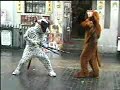 Kung Fu Dogs Kung Fu Dogs