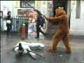 Kung-Fu-Dogs