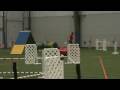 videos de Splash & Dash 4 5 09 Lola Starters Gamblers
