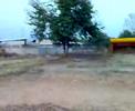 mbx 5 t