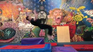 Back Flip with Jaxon