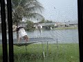 Kaley actually doing her backhandspring