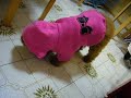 momoB??@20080117