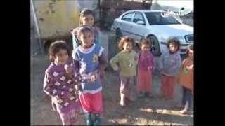 تقرير احمد شاور عرب ابو فردة وعرب الرماضين