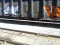 Axel- capte- wens_AESE 740 Axel- capte- wens_AESE 740