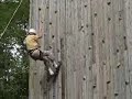 Up the Wall