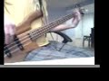 Incubus - Dig - Bass Guitar Cover Incubus - Dig - Bass Guitar Cover