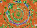 psy-trance - visuel mix