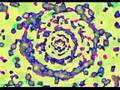 psy-trance - visuel mix