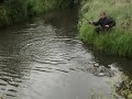 2 in 1 2 in 1