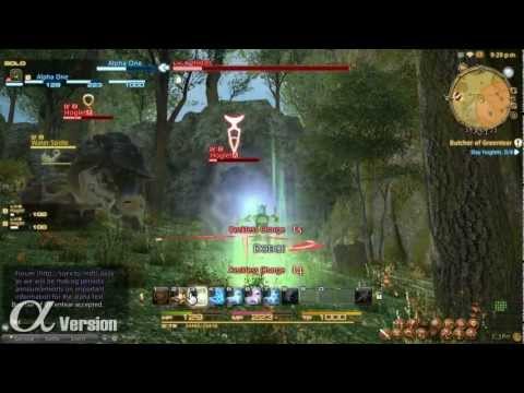 Immagine anteprima YouTube