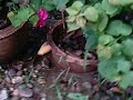 video20