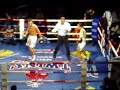 Germaine de Randamie vs Tom Waes   Part 2