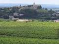 Visions of Provence