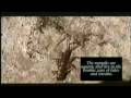 videos de Hellgramite Larva and Stonefly Nymph Fly Fishing Entemology