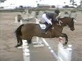 Winning on the Unrideable horse