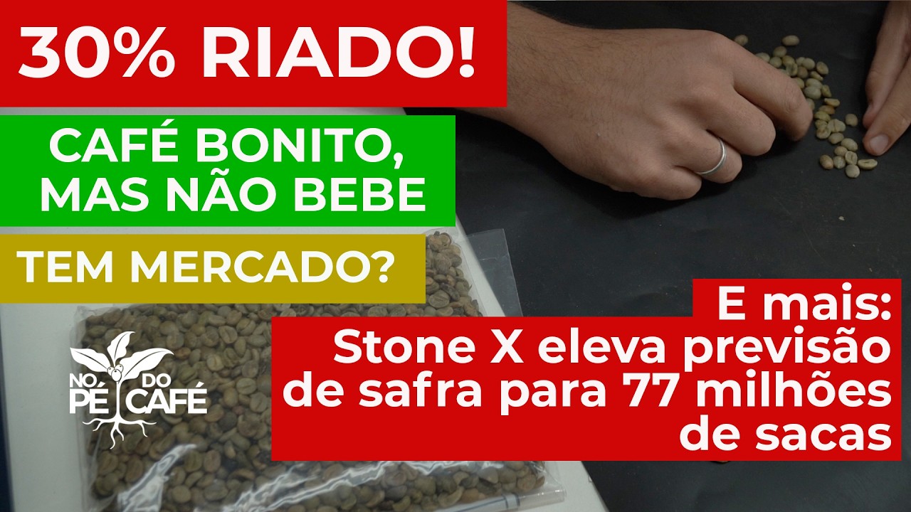 Muito café riado! Café bonito que bebe mal! Mistura com o bom ou separa?O que fazer com ele?