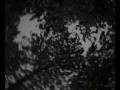 footsteps