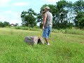 Layla training 2