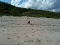 Dior on beach 2