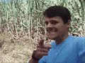 como se faz a cachaça artesanal de alambique de minas gerais