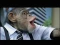 Monos currando en la oficina