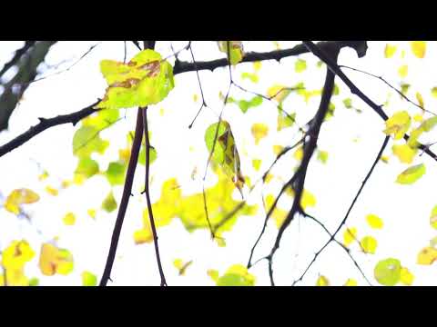 Барановичи день за днем. 27.10.26