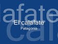 El Calafate