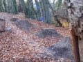 JBC New trails