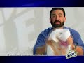 make oxiclean meth