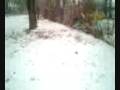 videos de nevada en aranjuez y la manada