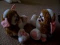 gizmo furbies gizmo furbies