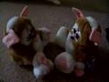 gizmo furbies