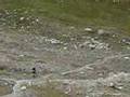 Westalpencross 2006 - Teil 1