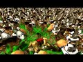Rome Total War Campaign Chronicles 18
