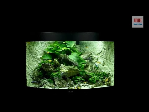 Juwel Aquarium Trigon 190 Einrichtungsbeispiel / Tutorial