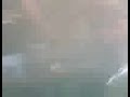 dj p�nico e cia