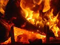 What is Biomass?