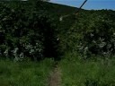 Ryan zipline 2