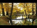 veronika fischer-goldene br�cken
eines der sch�nsten titel von veronika fischer, h�ren und tr�umen

goldene br�cken


wenn wir zur nacht uns in vier w�nde verdr�cken 
so ein jeder, in seinem zuhaus' 
tr�ume ich manchmal von ganz goldenen br�cken 
und die ziehn aus dem fenster hinaus. 

und ihr gel�nder ist wie von kaiserpal�sten 
und da schreitest du selbst wie ein f�rst 
hoch �ber stra�enschlucht und neubauk�sten, 
ja nur fort, das du wirst, was du wirst. 

und ein strom von menschen zieht wie du 
�ber goldne br�cken dem andern zu. 
menschen, die am tag sich nie gesehn 
k�nnen nun am abend zusammengehn. 

br�cken der begegnung, sch�n und reich 
links und rechts laternen, sternengleich 
und ein jeder, der die sehnsucht hat 
geht auf goldnen br�cken hoch �ber der stadt. 

guten tag, gute nacht 
was hast du heut' gemacht und gedacht. 
gute nacht, guten tag, 
w�nsch ich dem, den ich mag und sag': 

geh mit mir 
wege von haus zu haus, 
von fenster zu fenster 
himmelhoch durch die glasklare nacht. 
die einsamkeit entl��t ihre gespenster 
und die freundlichkeit n�hert sich sacht. 

br�cken der begegnung, sch�n und reich 
links und rechts laternen, sternengleich 
und ein jeder, der die sehnsucht hat 
geht auf goldnen br�cken 
hoch �ber der stadt.