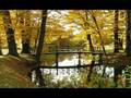 veronika fischer-goldene brücken