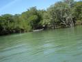 videos de Chegando no Mangue