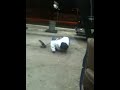 FAYETTVILLE NC GHETTO SHIT