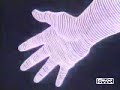 dragon ball z  capitulo 181 parte 1 