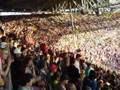 1.FC Kaiserslautern Diashow