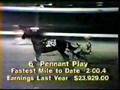 1981 Provincial Cup From EPR