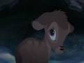 videos de An Angel Came Down -Bambi-The Great Stag- Simba-Mufasa-