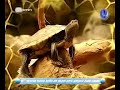 Reptilário de Lisboa